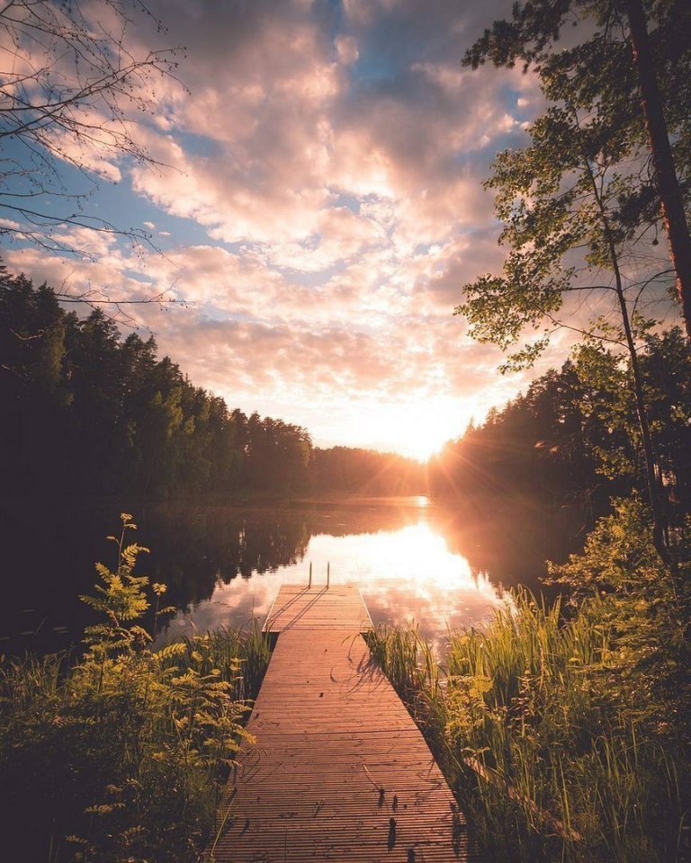 Уютные леса Финляндии 