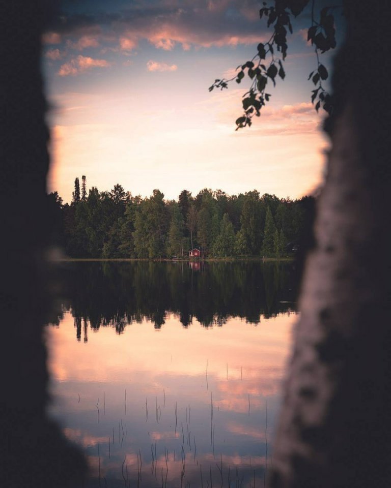 Уютные леса Финляндии 