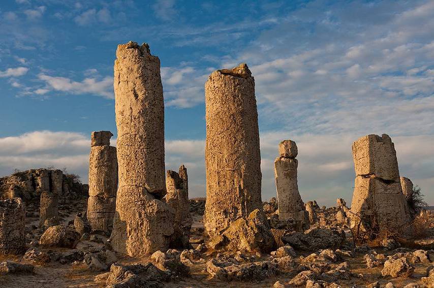 Stone Forest Stoned Stones