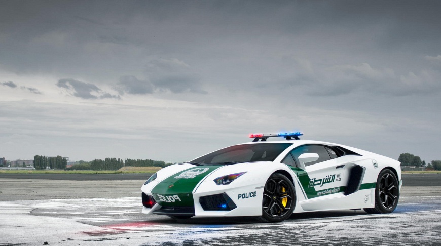 Supercars on the guard of the order: 10 expensive police cars of the world