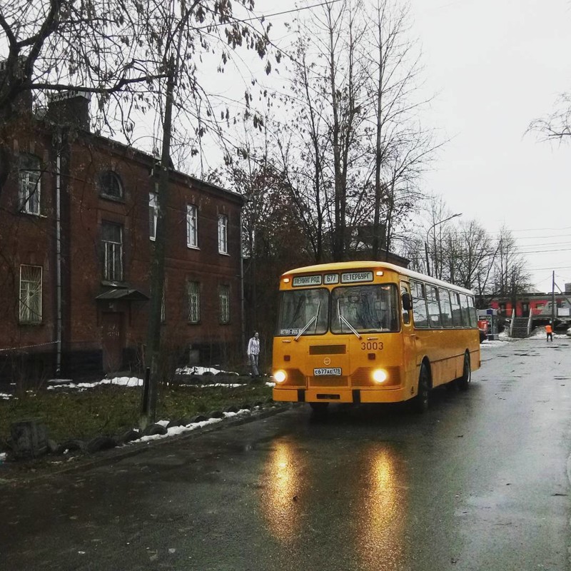 25 фотографий автобусов прямо из нашего детства