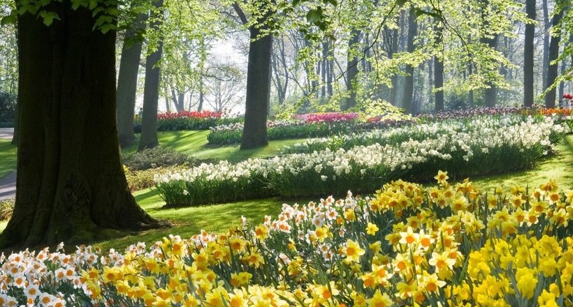 16 corners of the Earth, where the spring is especially beautiful