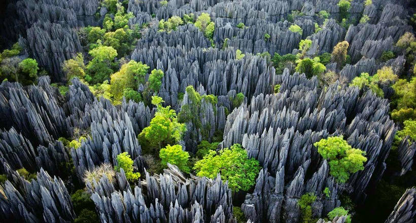 The riddle of the appearance of a stone forest in Madagascar