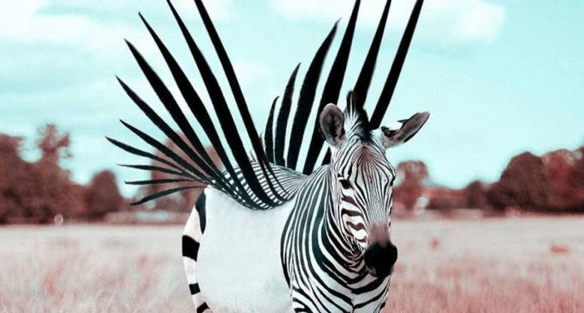 Французский художник превращает животных в фантастических созданий с помощью фотошопа