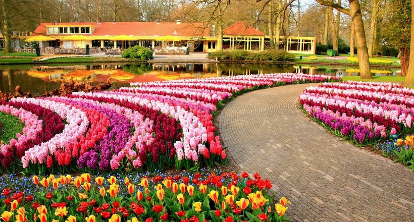 Где находятся 10 лучших ботанических садов мира