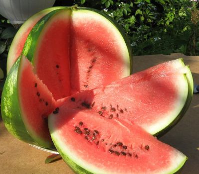 Attention! We bought a watermelon! Armed with the advice of experienced consumers and the recommendations of friends, the most inquisitive part of our editorial board went in search of the ideal watermelon. And that's what happened ...</span></p>