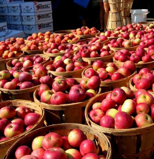 Apple Day in England is a great health feast for apple lovers