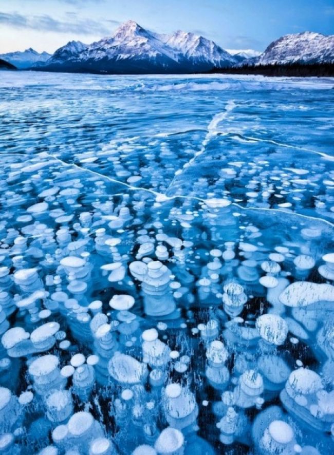 Like in a frozen fairy tale: Abraham's lake in Canada