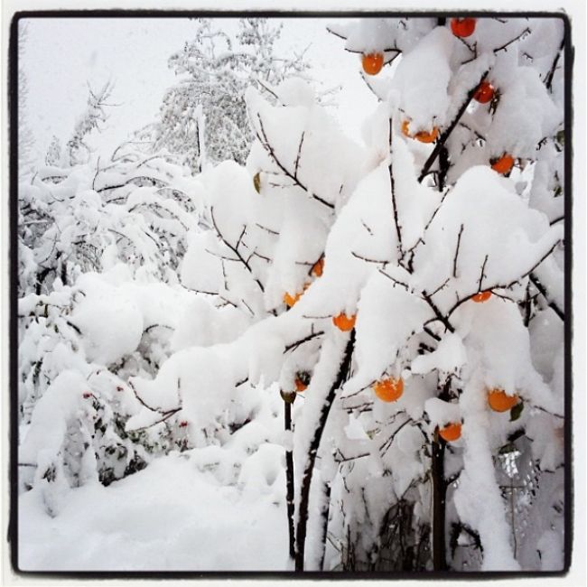 Snow-covered Azerbaijan