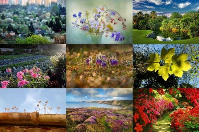 Победители фотоконкурса «International Garden Photographer of the Year»: часть первая