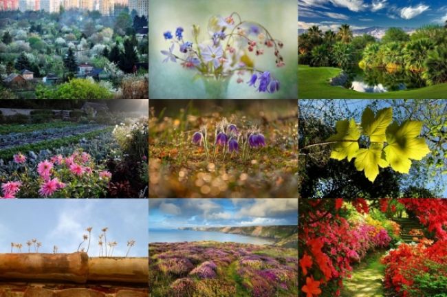 Winners of the photo contest International Garden Photographer of the Year: part one