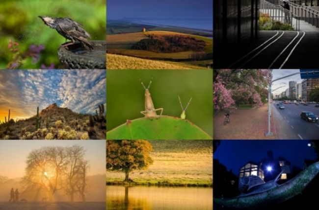 Winners of the photo contest International Garden Photographer of the Year: part two
