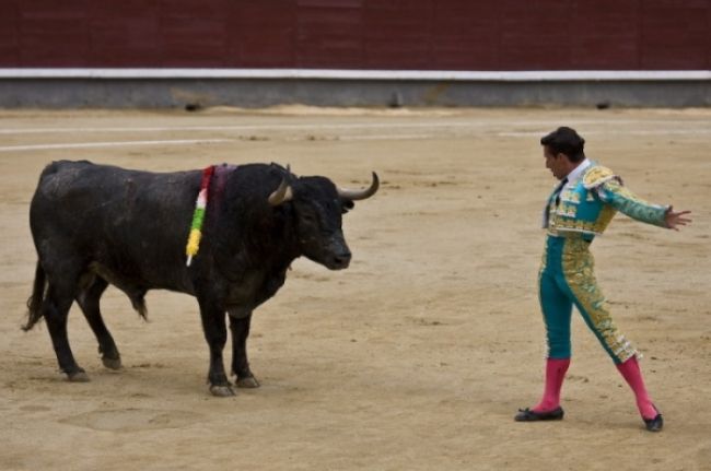 The Spanish Bullfight