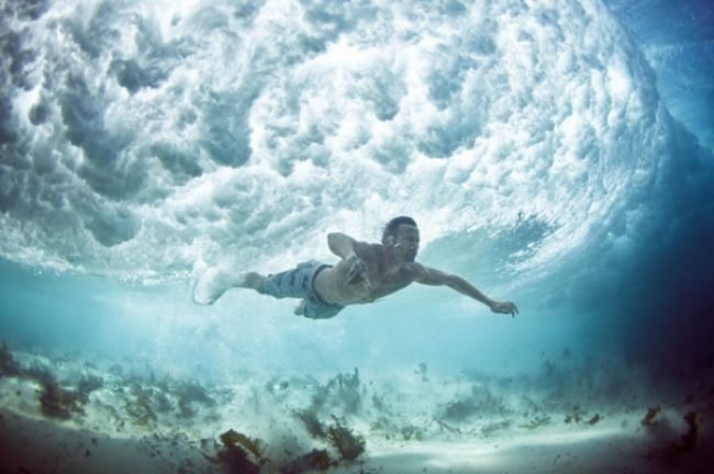 Приголомшливі підводні фотографії Марка Тіппла (Mark Tipple)