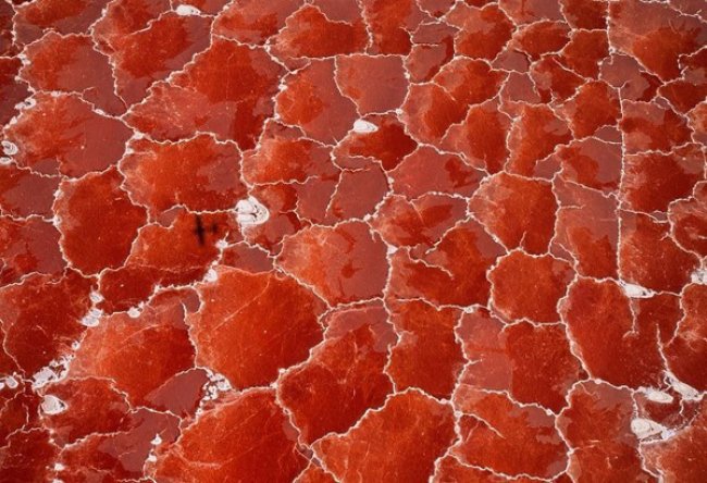 Red-pink Lake Natron in Tanzania