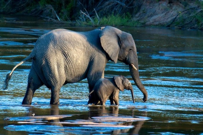 The first works of the photo contest National Geographic Traveler Photo 2013