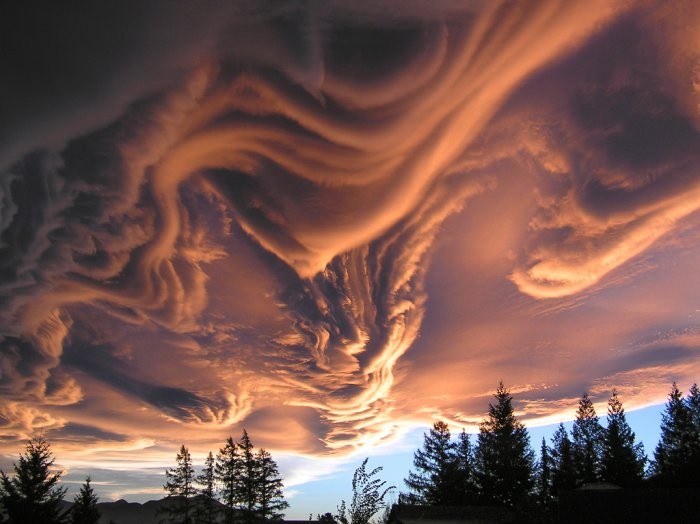 Unusual rare clouds Mammatus and Undulatus asperatus