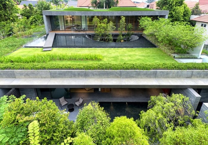 Green oasis in the center of Singapore