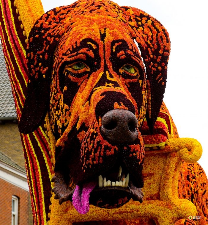 Giant floral sculptures of the parade Corso Zundert 2013