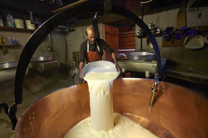 One season with Swiss cheesemakers