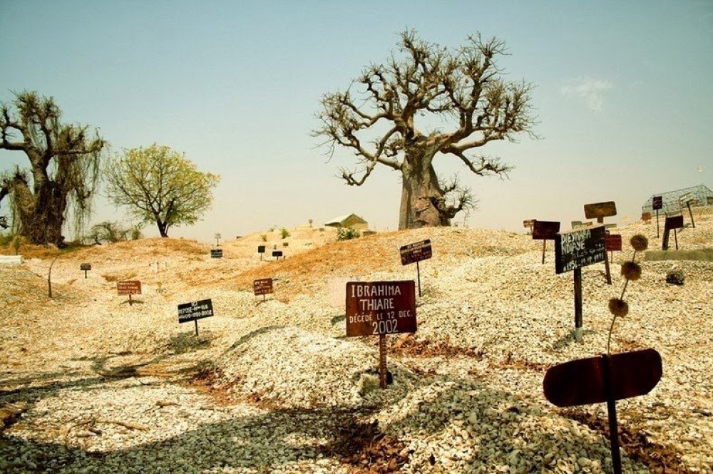 Island is an integral part of the city of Joël Fadiut, located in the western part of African Senegal and is the home city for the first ever presidential state in the history of independence.</p></p><p><p><img src=mc.yandex.ru/watch/21622423 style = position: absolute; left: -9999px; alt= /></p>