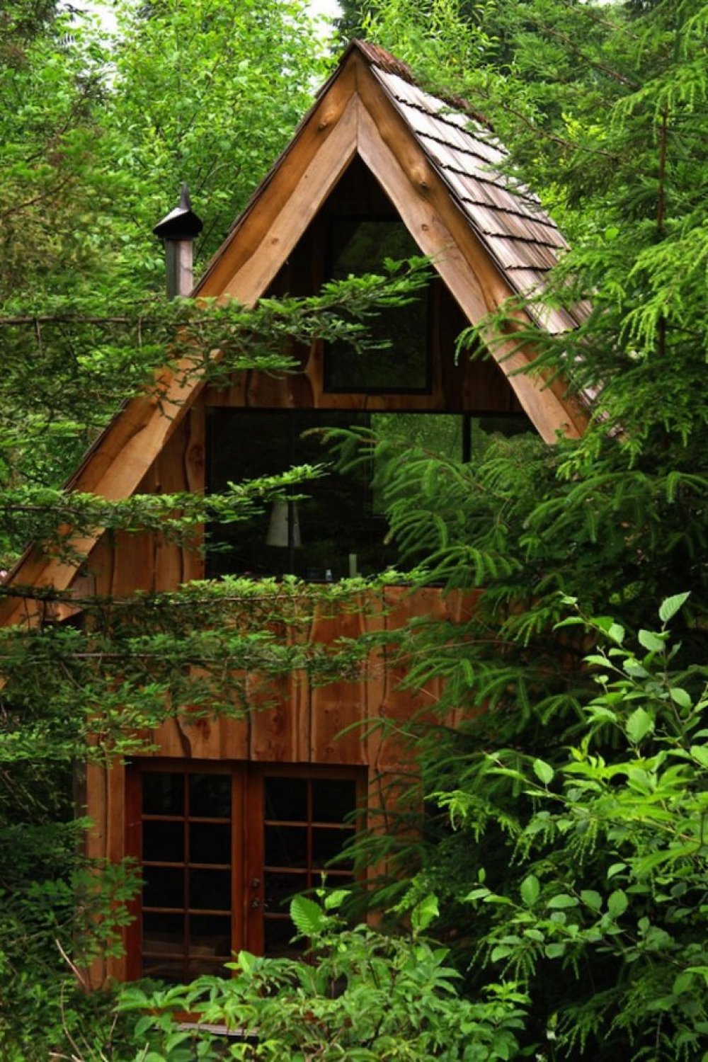 A $ 11,000 forest house
