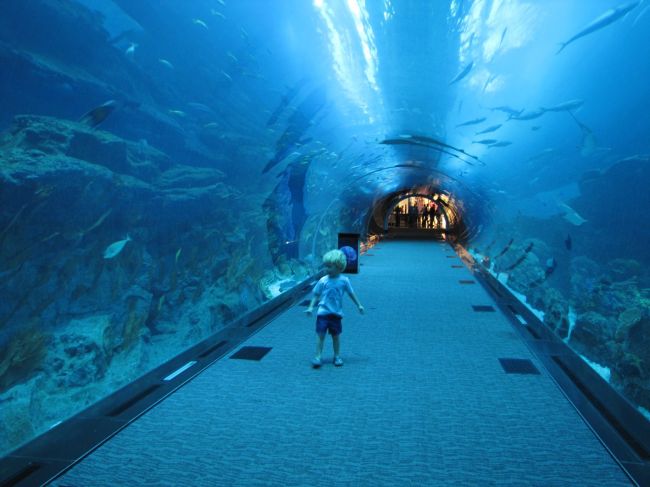 The world's largest indoor aquarium