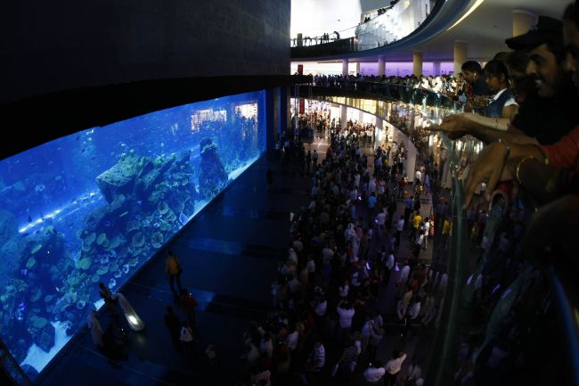 The world's largest indoor aquarium