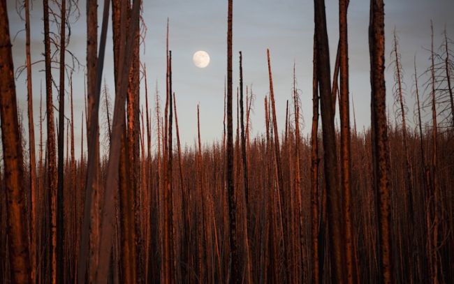 20 great works of the participants of the photo contest from the National Geographic & raquo;