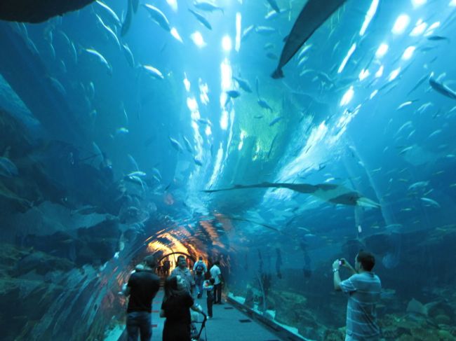 The world's largest indoor aquarium