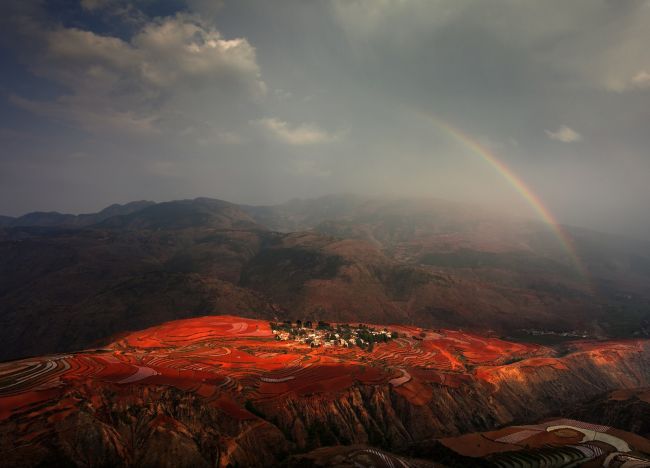 20 great works of the participants of the photo contest from the National Geographic & raquo;