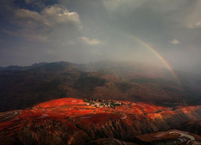 20 замечательных работ участников фотоконкурса от «National Geographic»