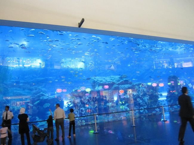 The world's largest indoor aquarium