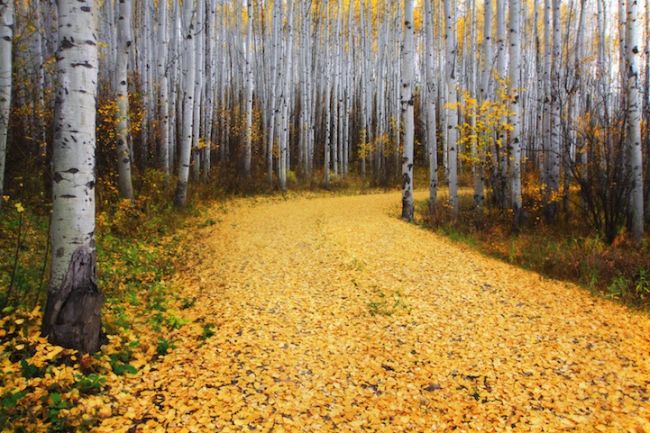 20 замечательных работ участников фотоконкурса от «National Geographic»