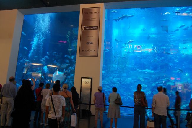 The biggest indoor aquarium in the world