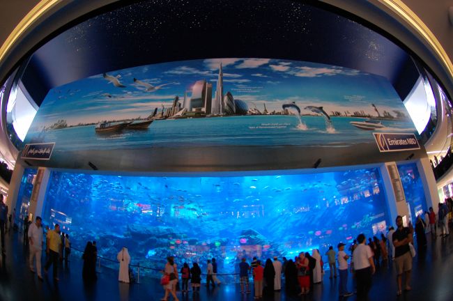 The world's largest indoor aquarium