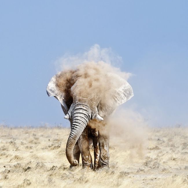 20 замечательных работ участников фотоконкурса от «National Geographic»