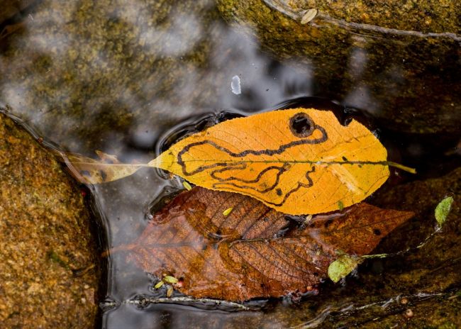 20 замечательных работ участников фотоконкурса от «National Geographic»