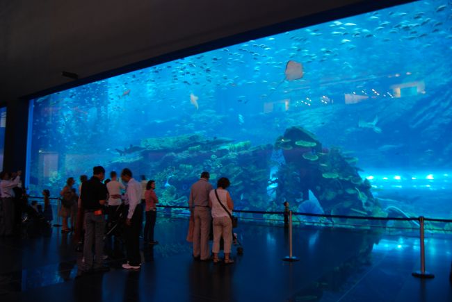 The world's largest indoor aquarium