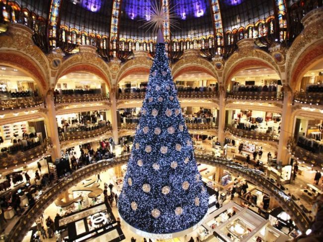 Christmas trees of the world