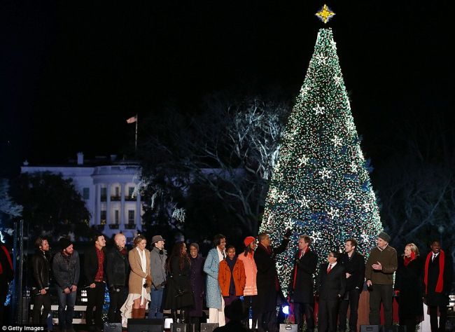 Christmas trees of the world