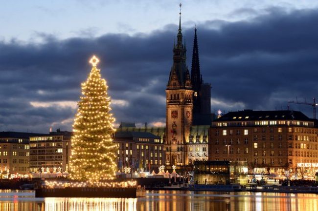 Christmas trees of the world