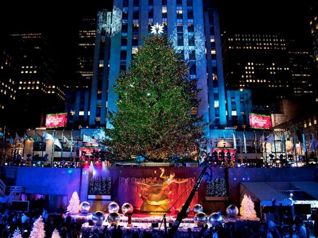 Christmas trees of the world