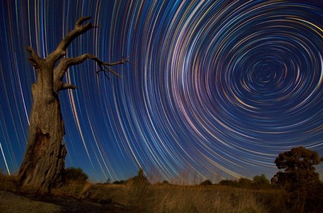 Exciting star trails in photos of Lincoln Harrison (Lincoln Harrison)