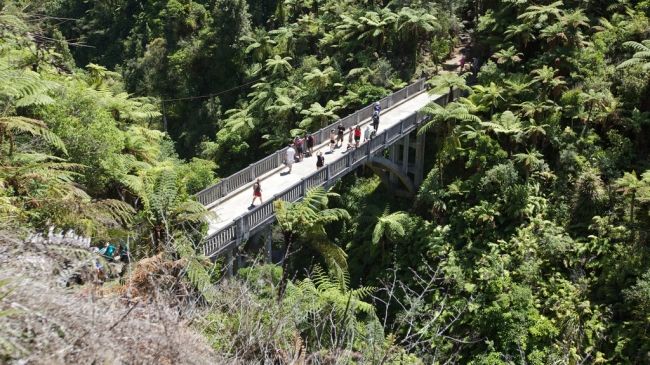 Bridge to Nowhere in New Zealand