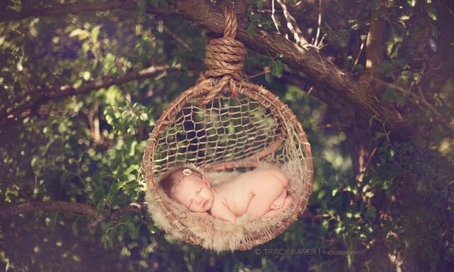 Sleeping babies in the photographs Tracy Raver