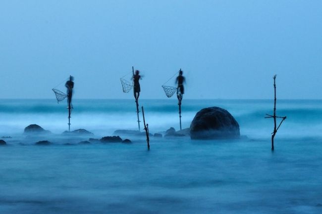 Переможці конкурсу & laquo; National Geographic Photo Contest 2012 & raquo;