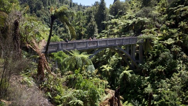 Bridge to Nowhere in New Zealand