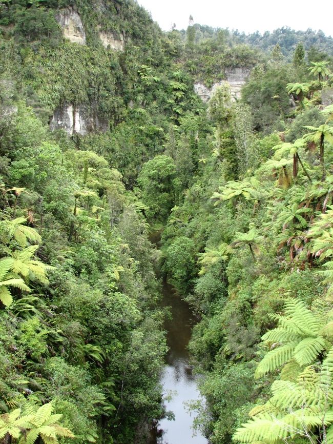 Bridge to Nowhere in New Zealand