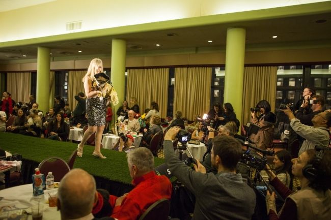 Модные питомцы шоу «New York Pet Fashion Show»